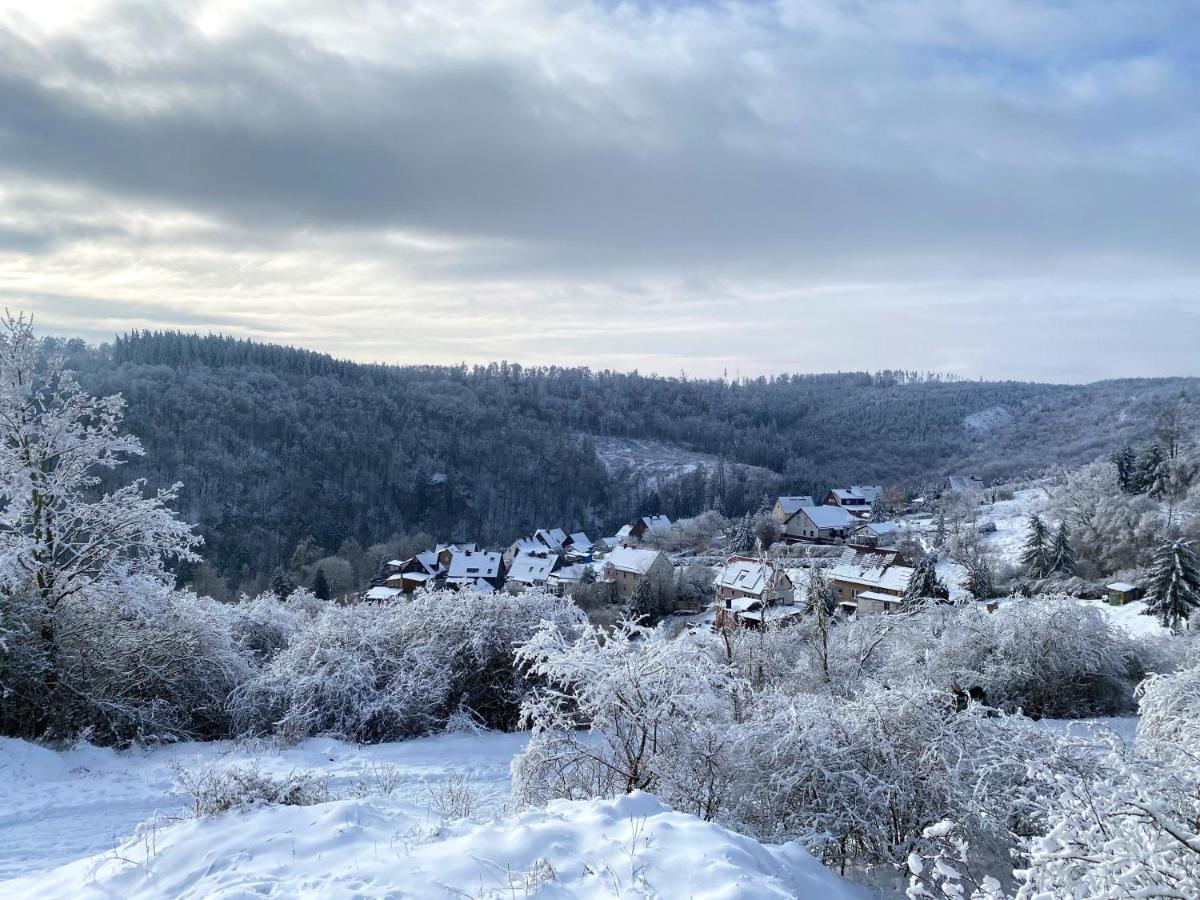 Das Gruene Haus Am Hexenstieg Rubeland Bagian luar foto