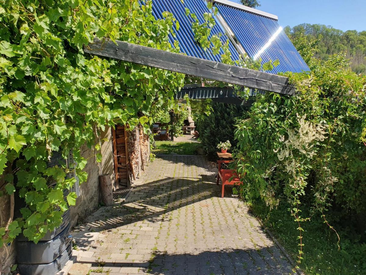Das Gruene Haus Am Hexenstieg Rubeland Bagian luar foto