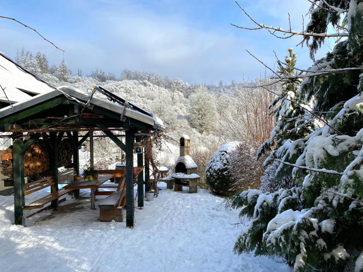 Das Gruene Haus Am Hexenstieg Rubeland Bagian luar foto