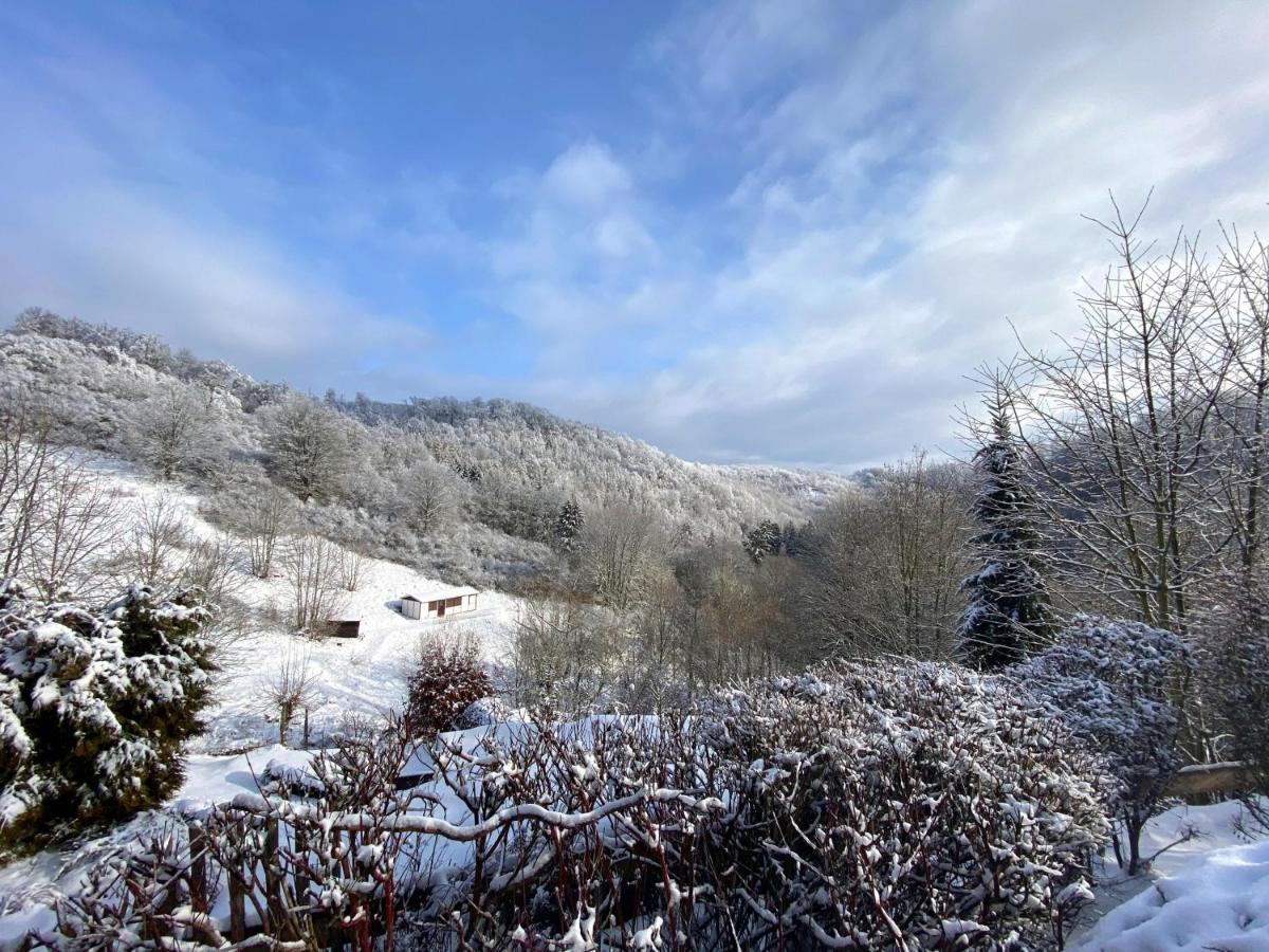 Das Gruene Haus Am Hexenstieg Rubeland Bagian luar foto