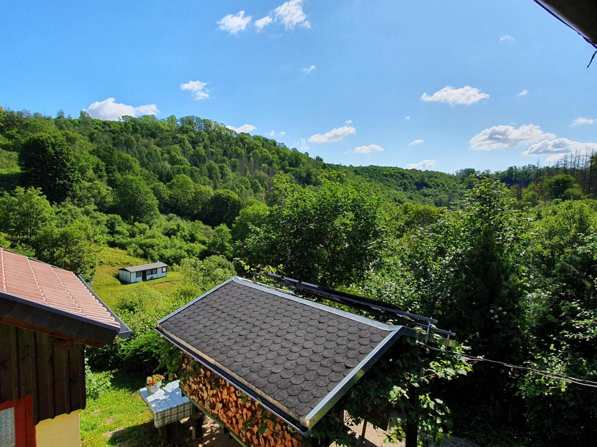 Das Gruene Haus Am Hexenstieg Rubeland Bagian luar foto
